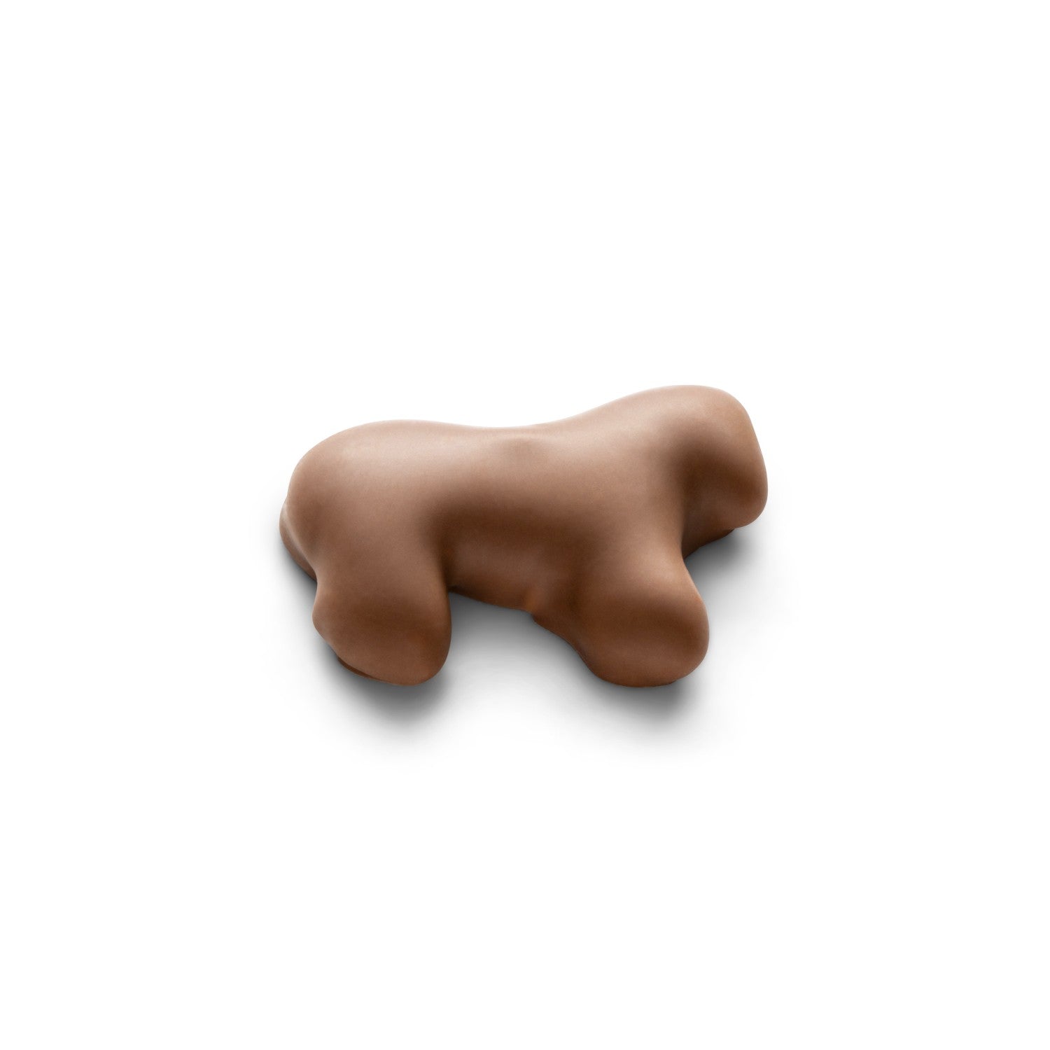 An animal cracker coated in milk chocolate