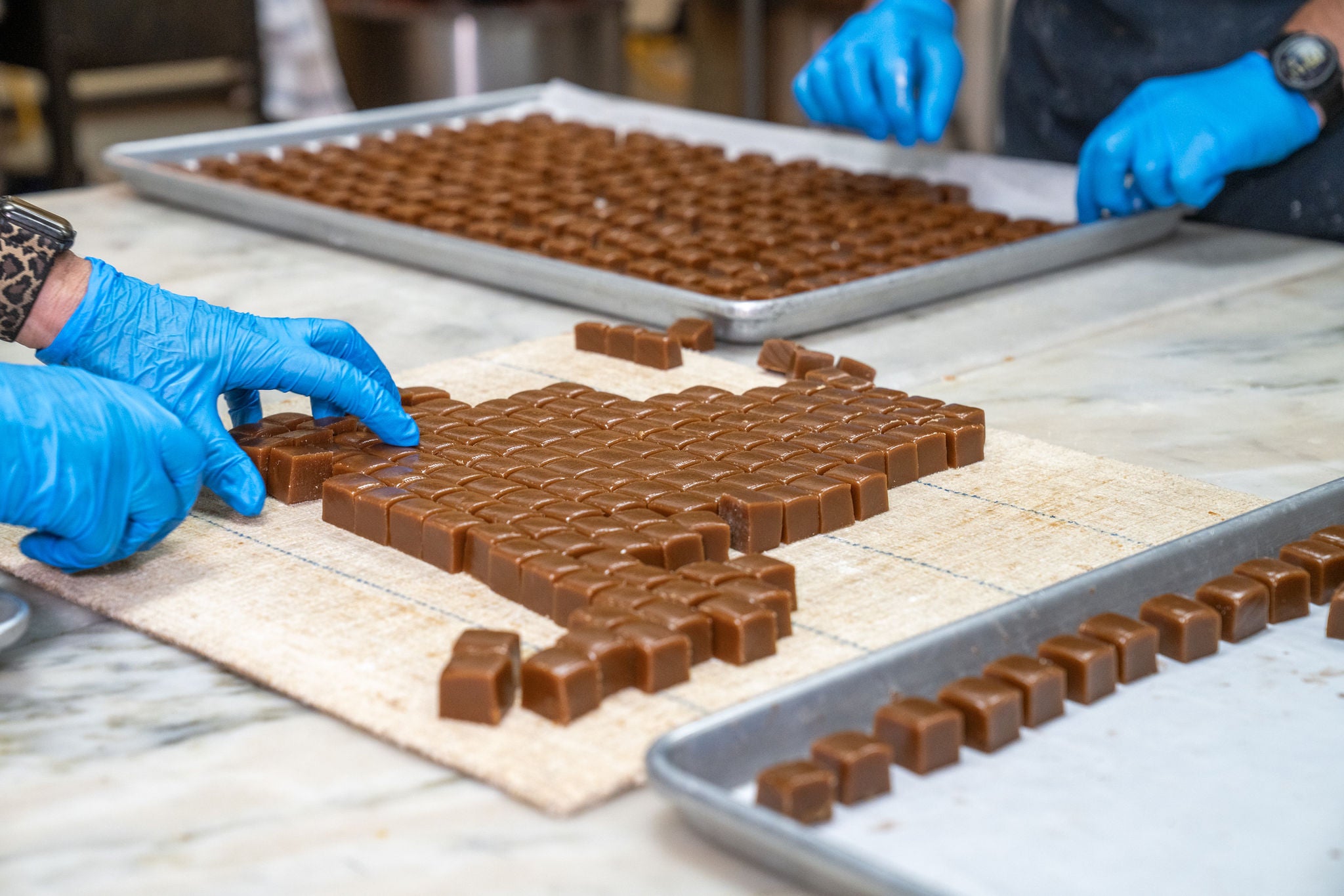 Chocolate caramels being arranged on a tray with hands wearing blue gloves.